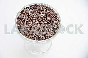 Seed