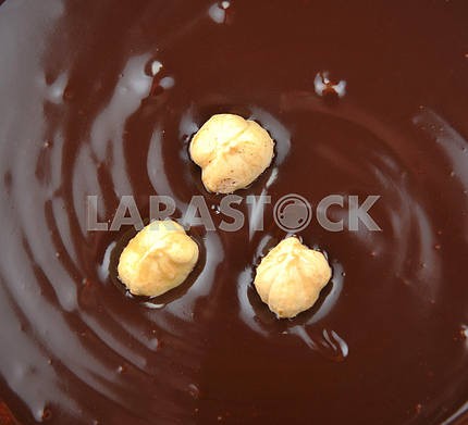 hazelnuts in a molten chocolate