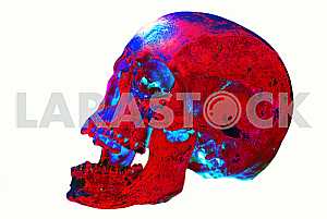Colorful skull