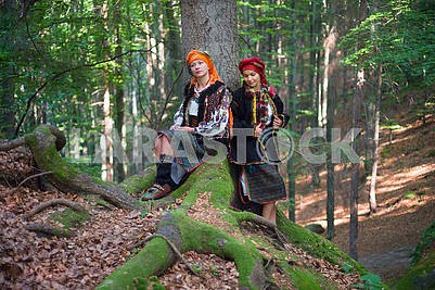 Gutsulka in the Carpathian forest