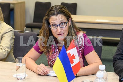 Christia Freeland, Ministry of Foreign Affairs of Canada