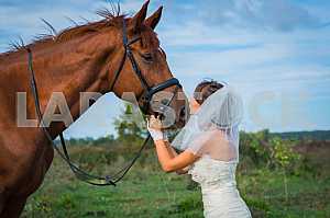 Bride portrait of brown-haired woman standing in front of a horse and kissing, in wedding dress mermaid silhouette, blue sky on the background