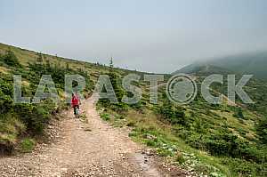 A man with a backpack riding a bike on a mountain road in the Carpathians