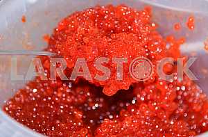 Caviar in spoon close-up.