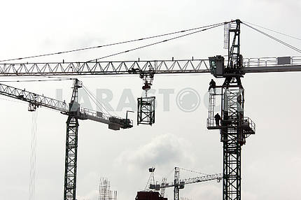 Silhouettes of cranes with a load on the construction of buildin