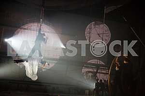 Circus-cabaret Baby-Babylon