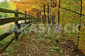 Beautiful autumn landscape