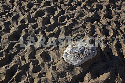 Great lonely stone on the sandy beach