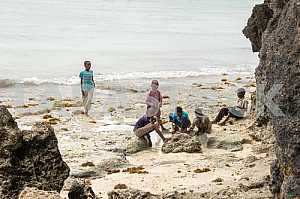 Занзибар, местные дети ловят рыбу на пляже.