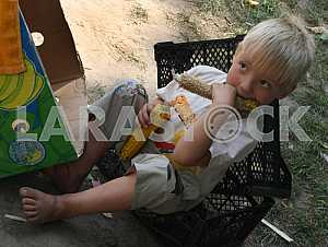 Бездомный мальчик ест кукурузу