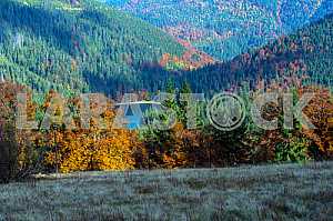 Autumn landscape