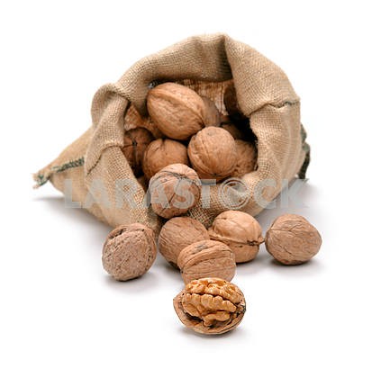 Walnuts and a bag