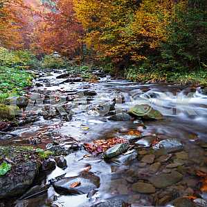 Autumn landscape