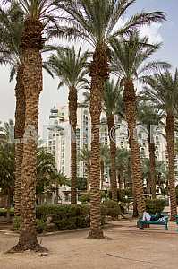 Eilat. Israel