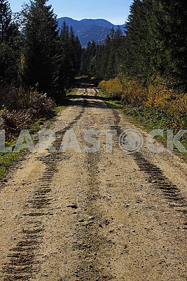 Tracks of a crawler tractor on a dirt road