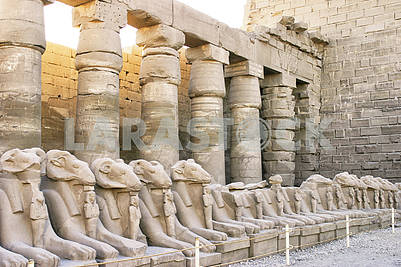 Egypt, Luxore
