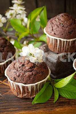 Homemade delicious chocolate muffins on dark wooden background with cherry flowers
