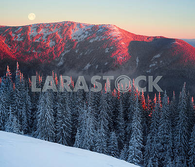 Frosty sunrise in Carpathians