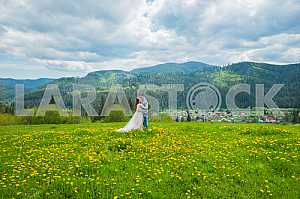 Wedding in mountains, a couple in love, mountains background, standing surrounded dandelions, among the lawn with the green grass, rustic style, girl in long tulle dress, romantic landscape