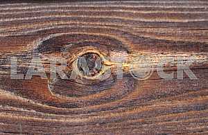 Wood texture with natural pattern