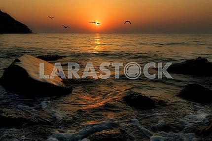 Seagulls fly against a rising sun