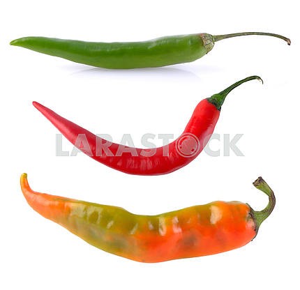 Green orange red hot chili pepper