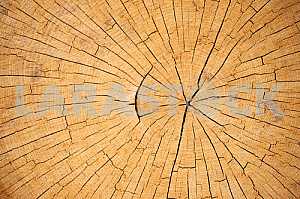 Brown leather texture background