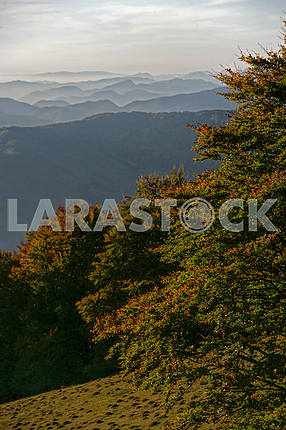 Autumn in Transcarpathia