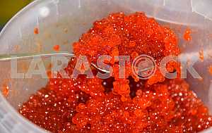 Caviar close-up in a spoon and a bucket.
