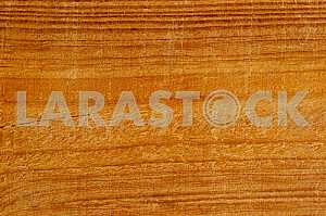 Wood texture with natural pattern