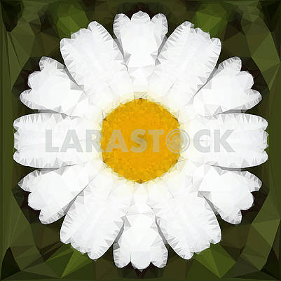 Polygonal open flower with petals daisy on black, low poly camomile