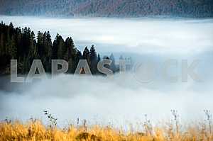 Осенний пейзаж