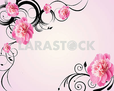 3d illustration, light pink background, large pink peonies buds
