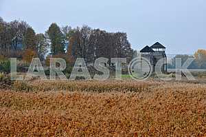 Autumn field