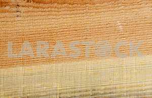 Wood texture with natural pattern