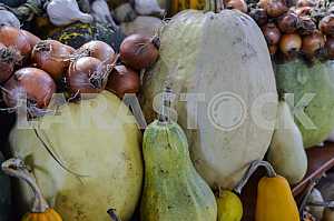 Pumpkins of different varieties of onions in the market.