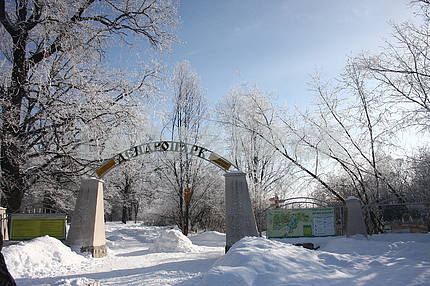 Winter in Poltava dendrological park