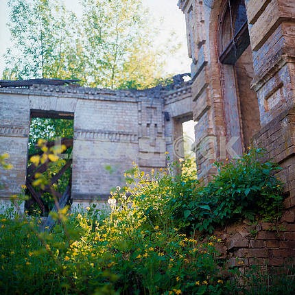 The ruins of the mansion in the village of Great Bukrin