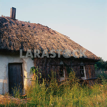 Before winter, the northern wall of a traditional Ukrainian home covered with reeds. summer 2008