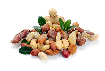 Set of nuts on a white background