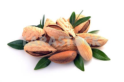 Group of almond nuts