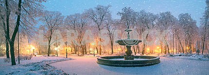 Mariinsky garden during inclement weather