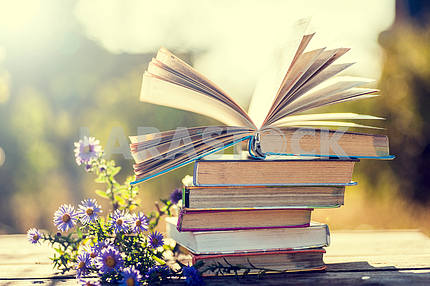 Books on natural background.