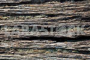 Wood texture with nature pattern