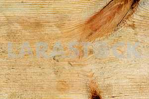 Wood texture with natural pattern