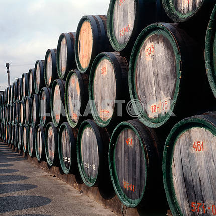 Old wine in barrels