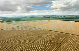 Photo from height