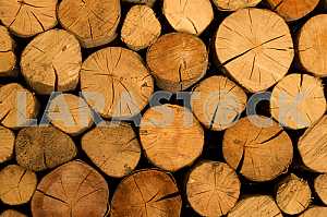 Background of firewood for heating season