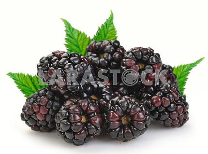 Dewberries (blackberries)
