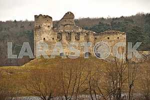 Sydoriv Castle in the village Sidorov